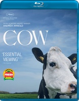 Cow (Blu-ray Movie)