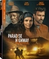 Paradise Highway (Blu-ray Movie)