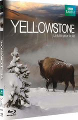 Yellowstone: Battle for Life (Blu-ray Movie)