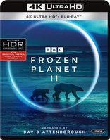Frozen Planet II 4K (Blu-ray Movie), temporary cover art