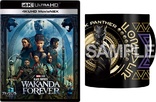 Black Panther: Wakanda Forever 4K + 3D (Blu-ray Movie)