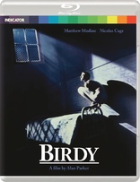 Birdy (Blu-ray Movie)