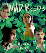 Wild Reeds (Blu-ray Movie), temporary cover art
