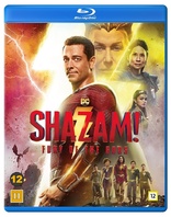 Shazam! Fury of the Gods (Blu-ray Movie)