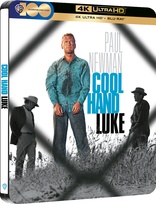 Cool Hand Luke 4K (Blu-ray Movie)