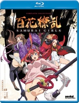 Samurai Girls: Complete Collection (Blu-ray Movie)