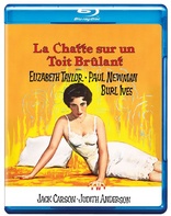 Cat on a Hot Tin Roof (Blu-ray Movie)