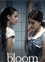 In Bloom (Blu-ray Movie)