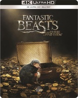 Fantastic Beasts and Where to Find Them 4K (Blu-ray Movie)