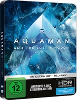 Aquaman and the Lost Kingdom 4K (Blu-ray Movie)