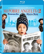 Home Alone 2: Lost in New York (Blu-ray Movie)