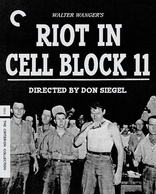 Riot in Cell Block 11 (Blu-ray Movie)