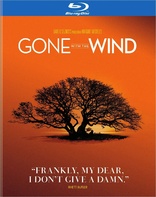 Gone with the Wind (Blu-ray Movie)