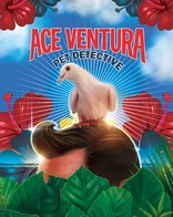 Ace Ventura: Pet Detective 4K (Blu-ray Movie)