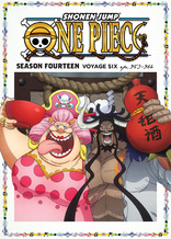 One Piece: Season 14 Voyage 6 (Blu-ray Movie)