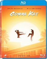 Cobra Kai: Season One (Blu-ray Movie)