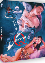 Visitor Q (Blu-ray Movie)