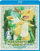 Reincarnated as a Dragon Hatchling: Complete Collection (Blu-ray Movie)