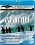 Nature: Antarctica (Blu-ray Movie)