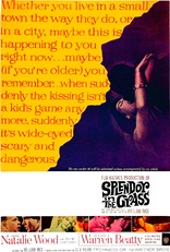 Splendor in the Grass (Blu-ray Movie)