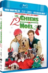 12 Dogs of Christmas (Blu-ray Movie)