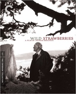 Wild Strawberries (Blu-ray Movie)