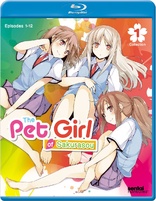 The Pet Girl of Sakurasou: Collection 1 (Blu-ray Movie)