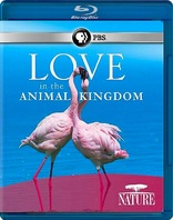 Nature: Love in the Animal Kingdom (Blu-ray Movie)