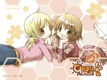 Hidamari Sketch x Honeycomb Vol.1 (Blu-ray Movie), temporary cover art