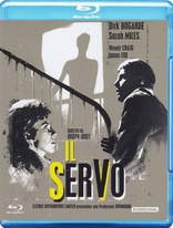 The Servant (Blu-ray Movie)