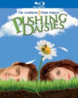 Pushing Daisies: The Complete First Season (Blu-ray Movie)