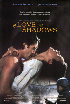 of love and shadows allende